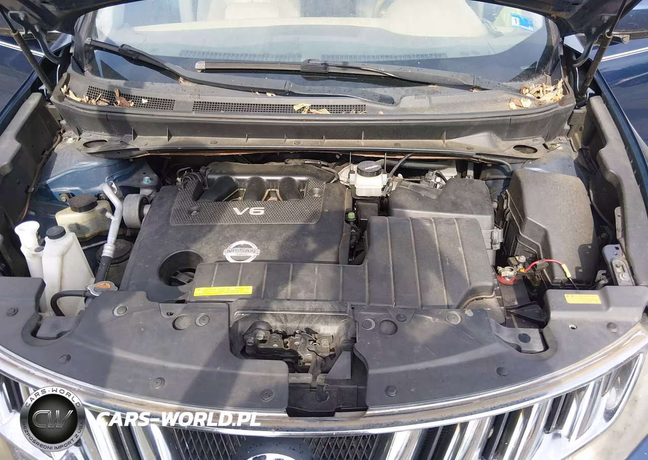 2010 Nissan Murano Le VIN:JN8AZ1MW3AW131361 - 10