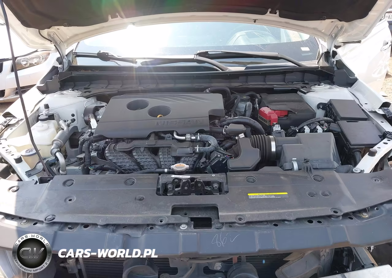 2019 Nissan Altima 2.5 Sv VIN:1N4BL4DW5KC196966 - 10