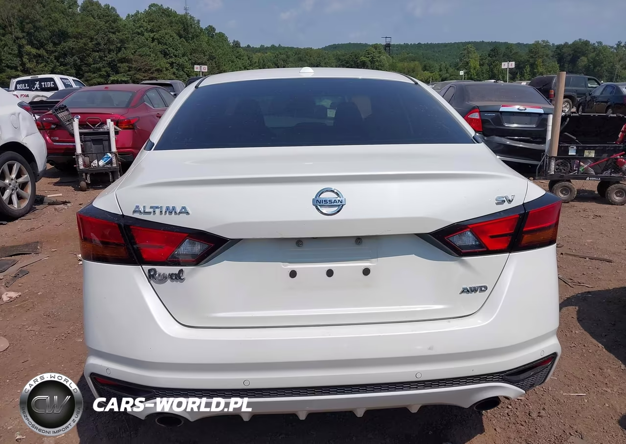2019 Nissan Altima 2.5 Sv VIN:1N4BL4DW5KC196966 - 17