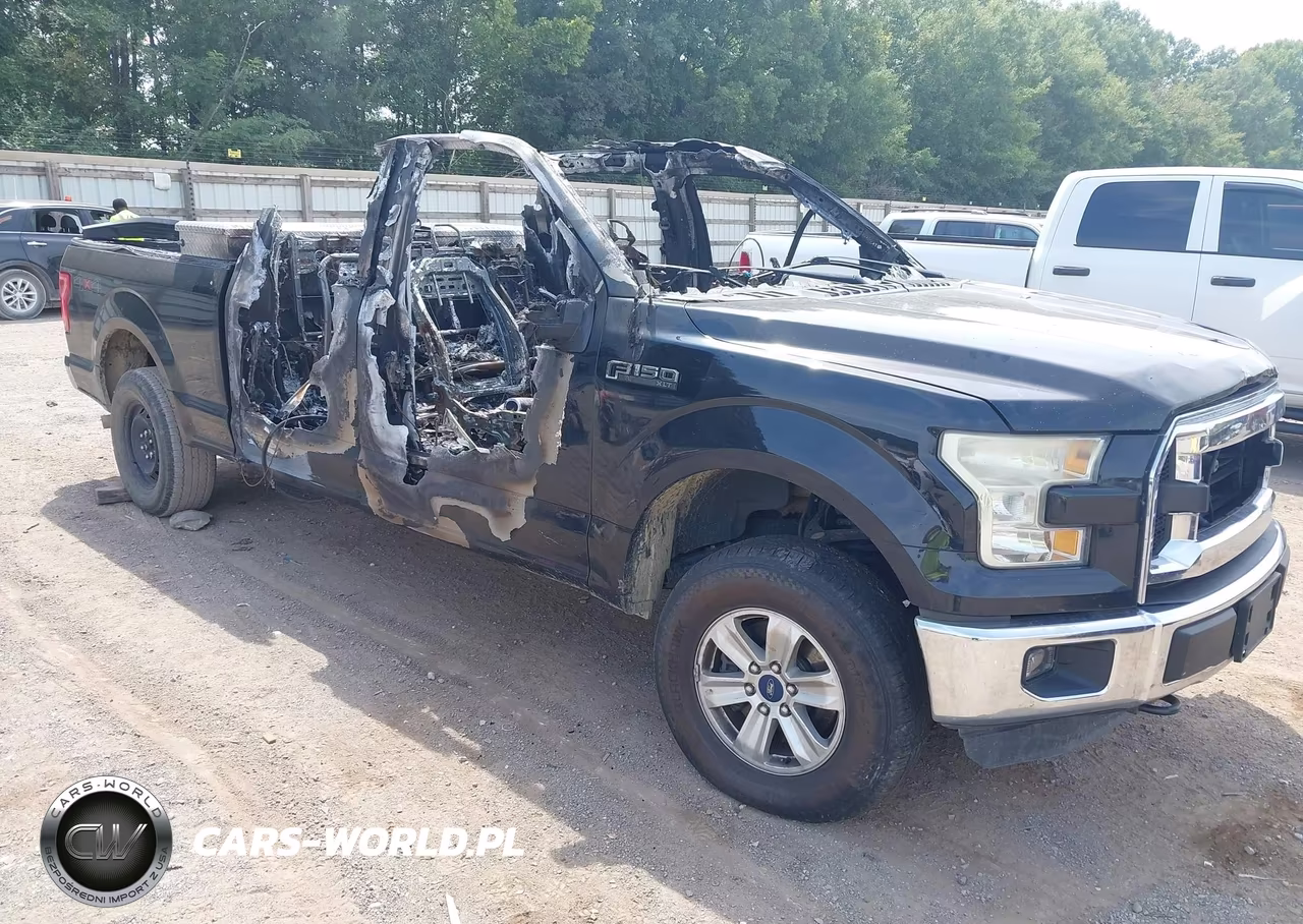 2016 Ford F-150 Xlt – zdjęcie 1 z 10