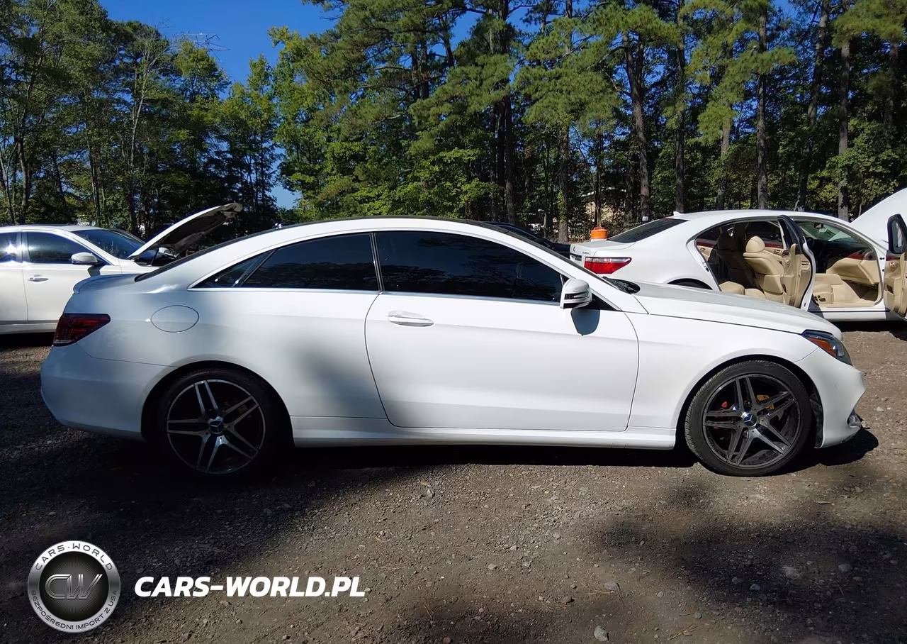 2016 Mercedes-Benz E 400 VIN:WDDKJ6FB6GF350098 - 13