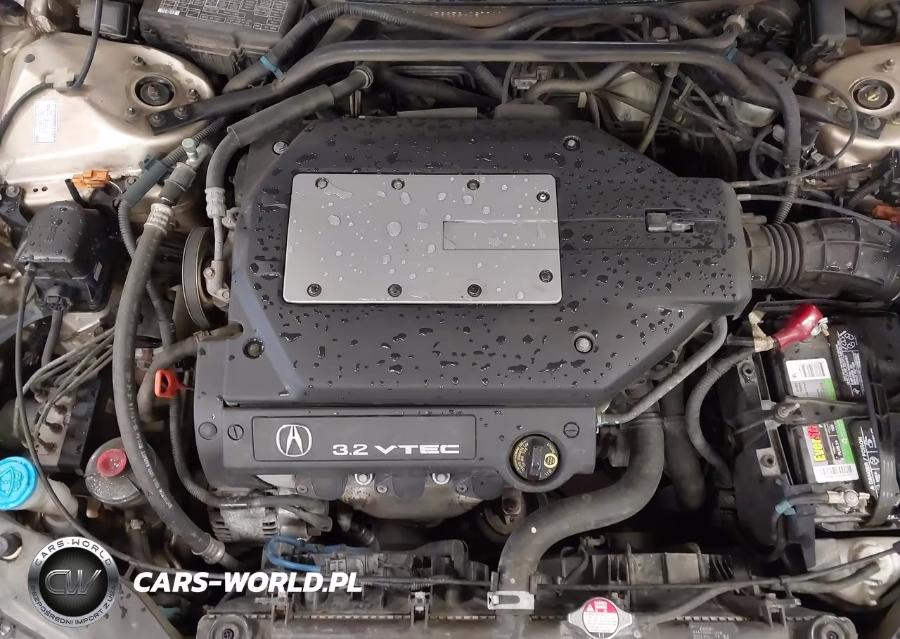 2003 Acura Tl 3.2 VIN:19UUA56653A087711 - 10