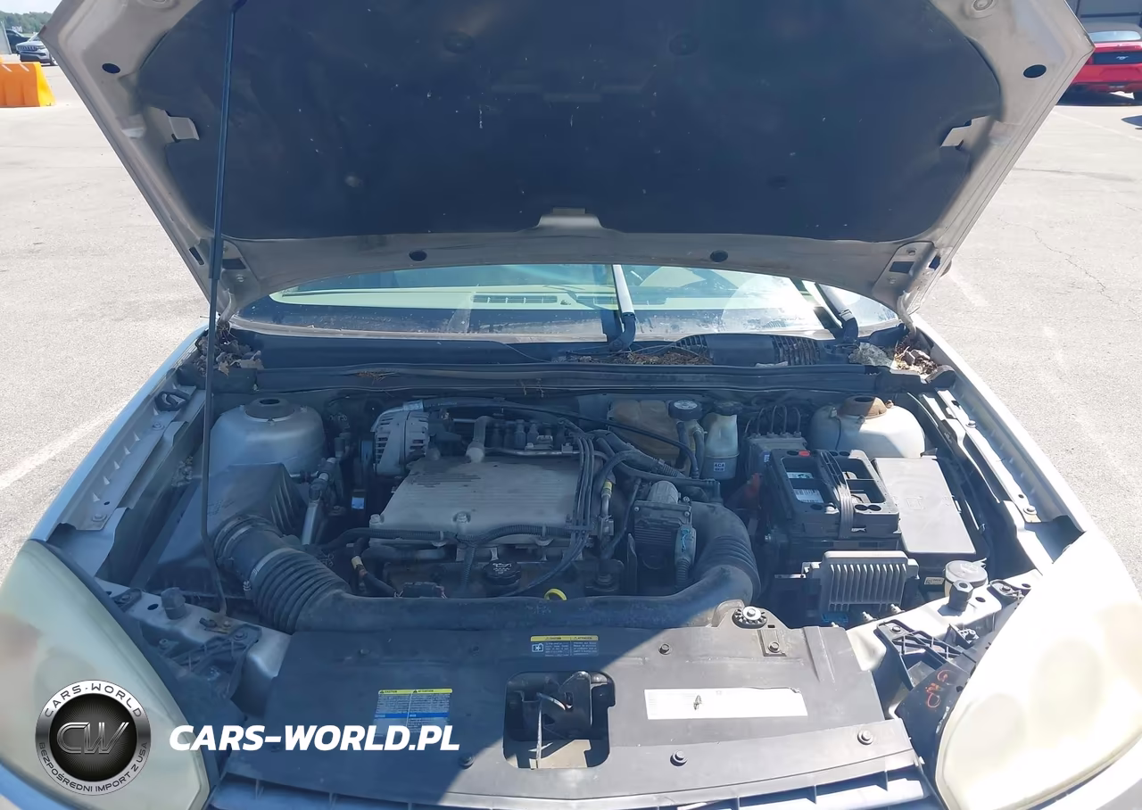2004 Chevrolet Malibu Lt VIN:1G1ZU54864F204001 - 10