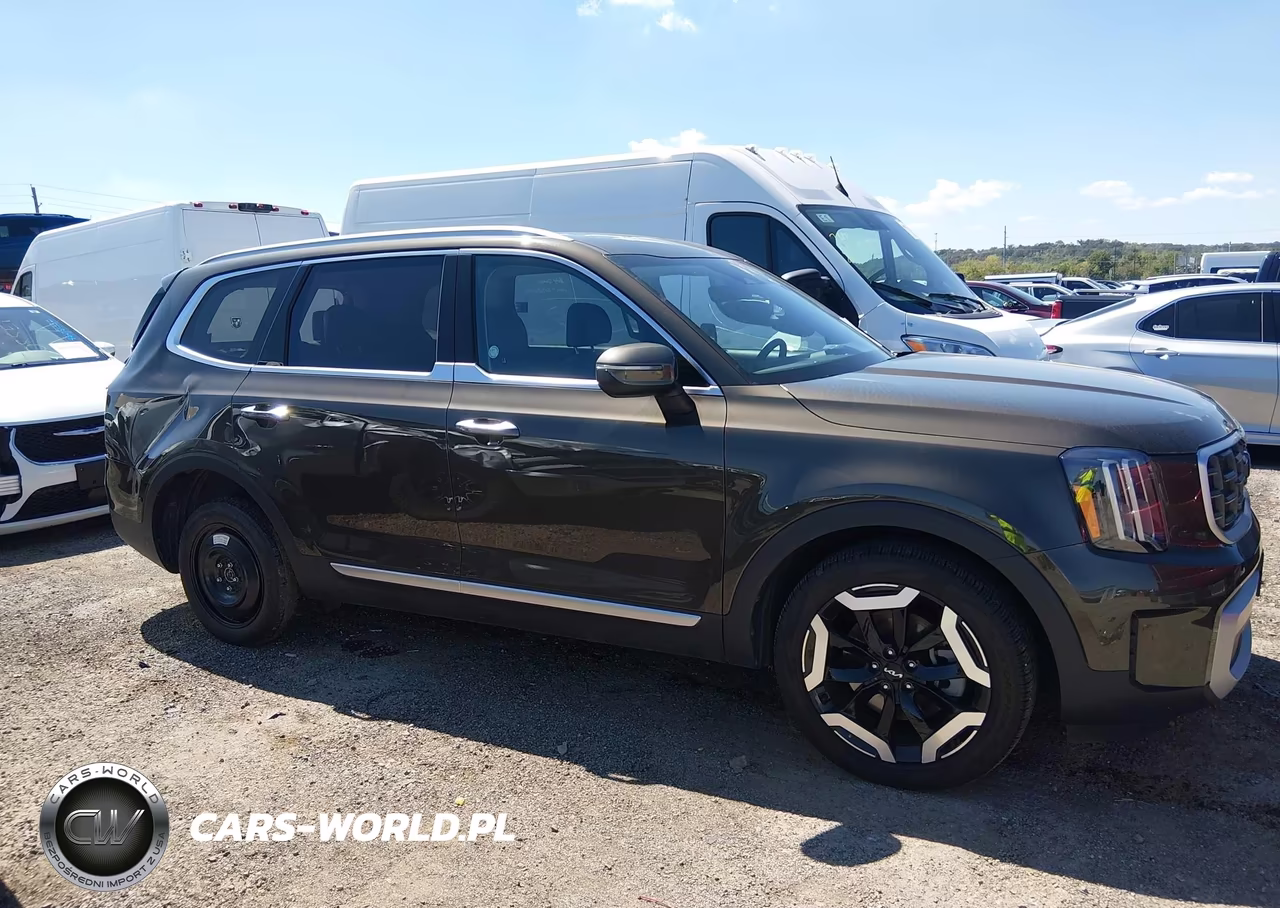 2025 Kia Telluride S VIN:5XYP6DGC7SG690069 - 13