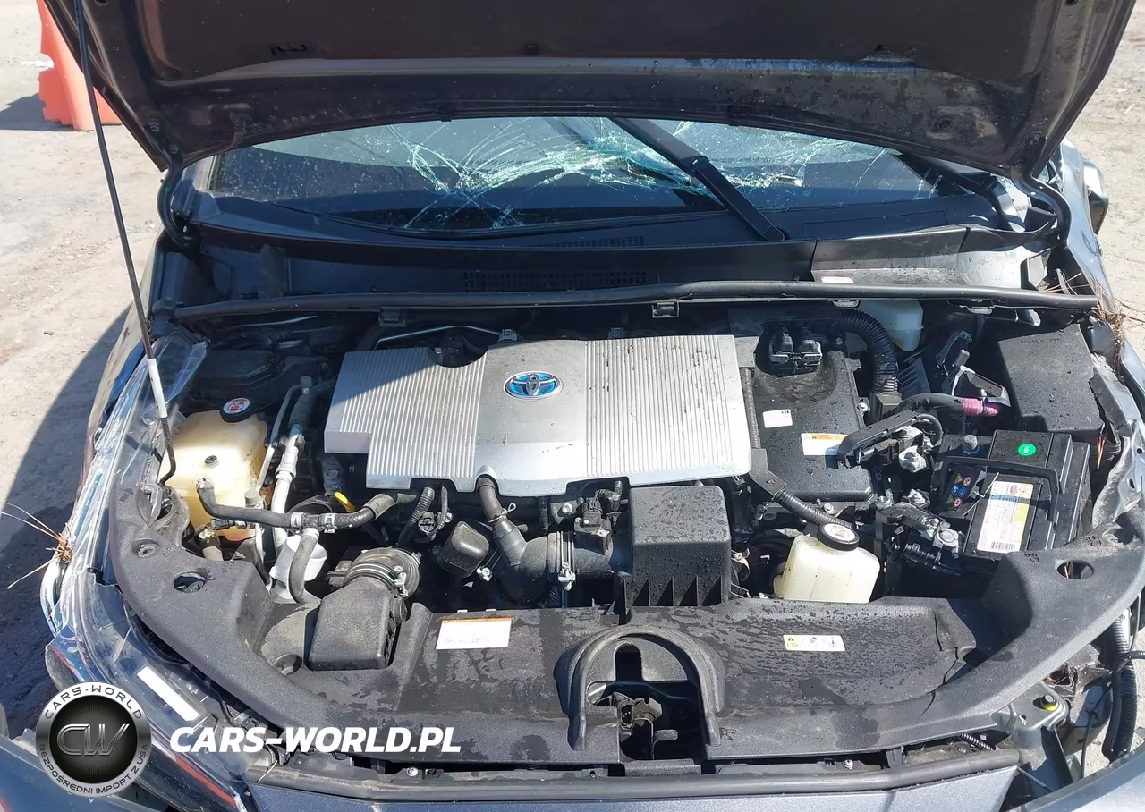 2019 Toyota Prius L Eco VIN:JTDKARFU8K3099799 - 10
