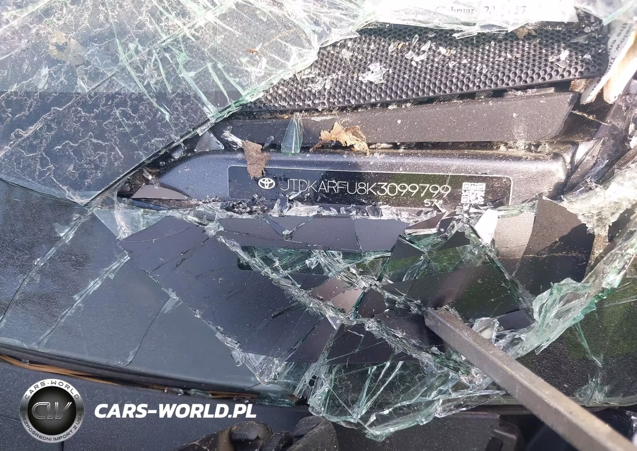 2019 Toyota Prius L Eco VIN:JTDKARFU8K3099799 - 9