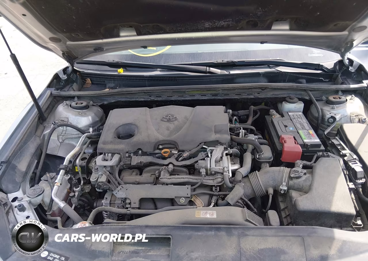 2019 Toyota Camry Le VIN:4T1B11HKXKU218312 - 10