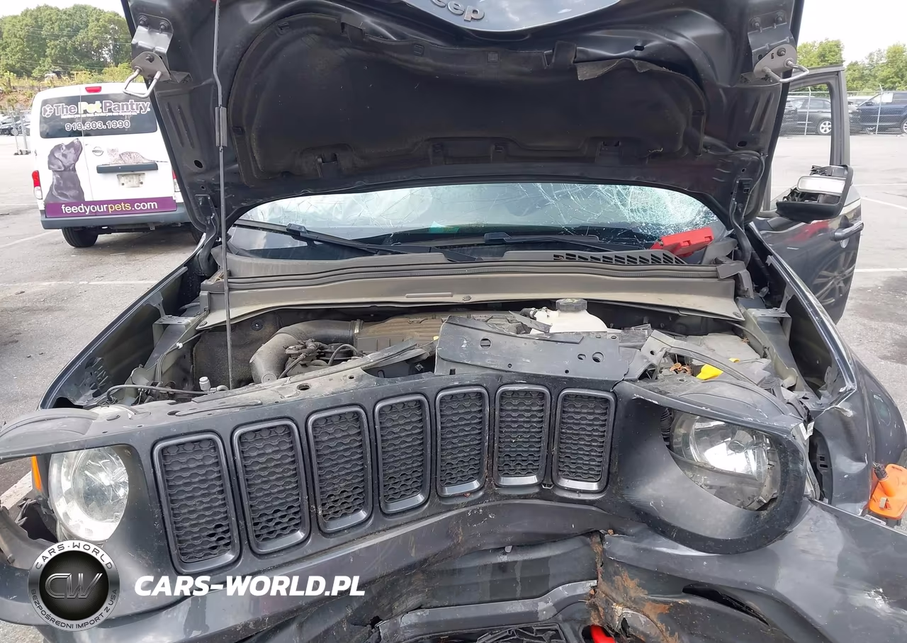 2022 Jeep Renegade Trailhawk 4X4 VIN:ZACNJDC15NPN82769 - 10