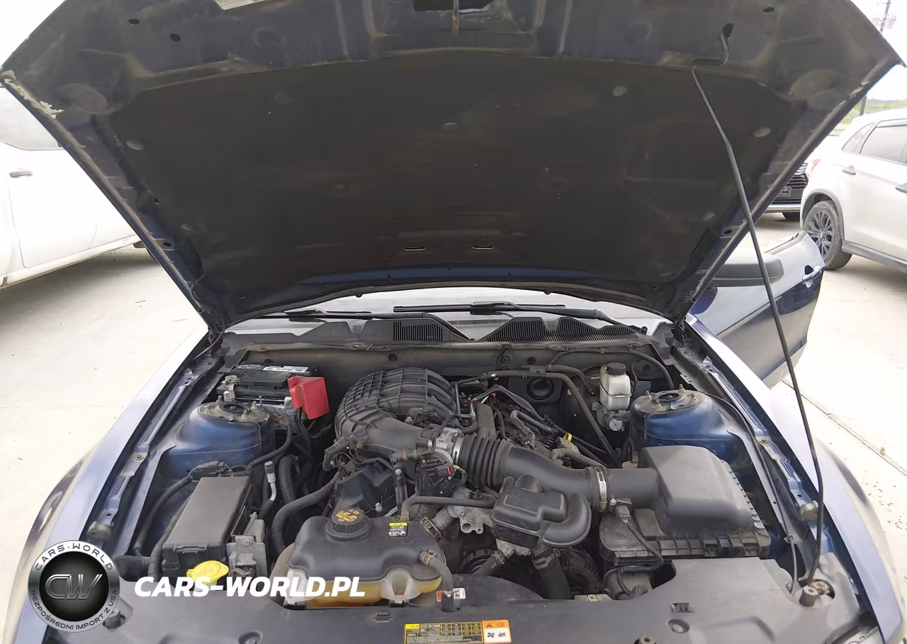 2011 Ford Mustang V6 VIN:1ZVBP8AM6B5152792 - 10