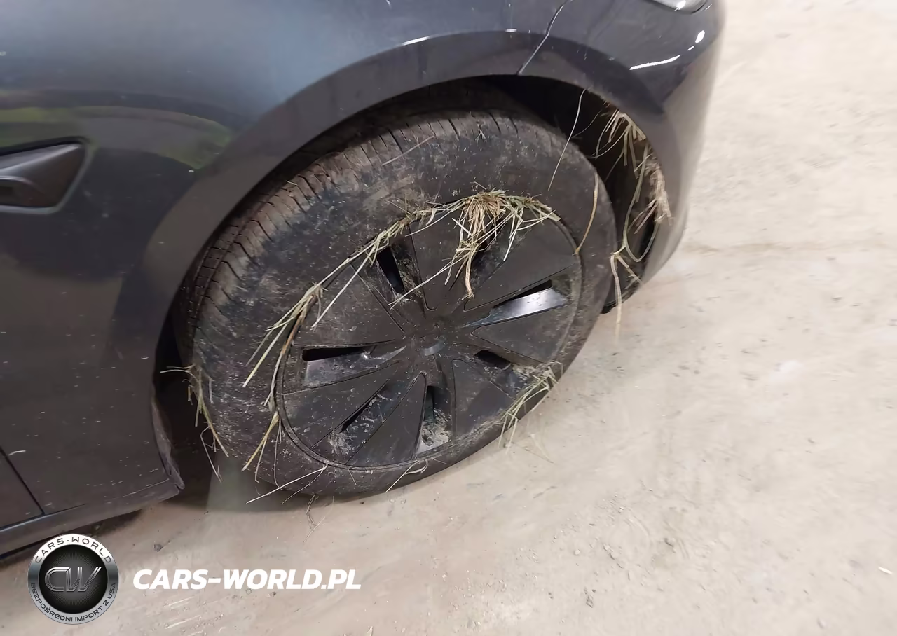 2025 Tesla Model 3 VIN:5YJ3E1EA8SF971970 - 22