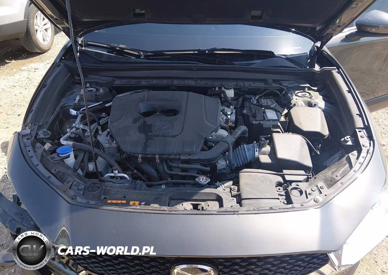 2024 Mazda Cx-30 2.5 S Preferred Package VIN:3MVDMBCM0RM624597 - 10