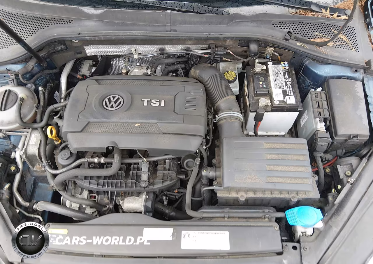 2015 Volkswagen Golf Tsi S 4-Door VIN:3VW217AUXFM019609 - 10