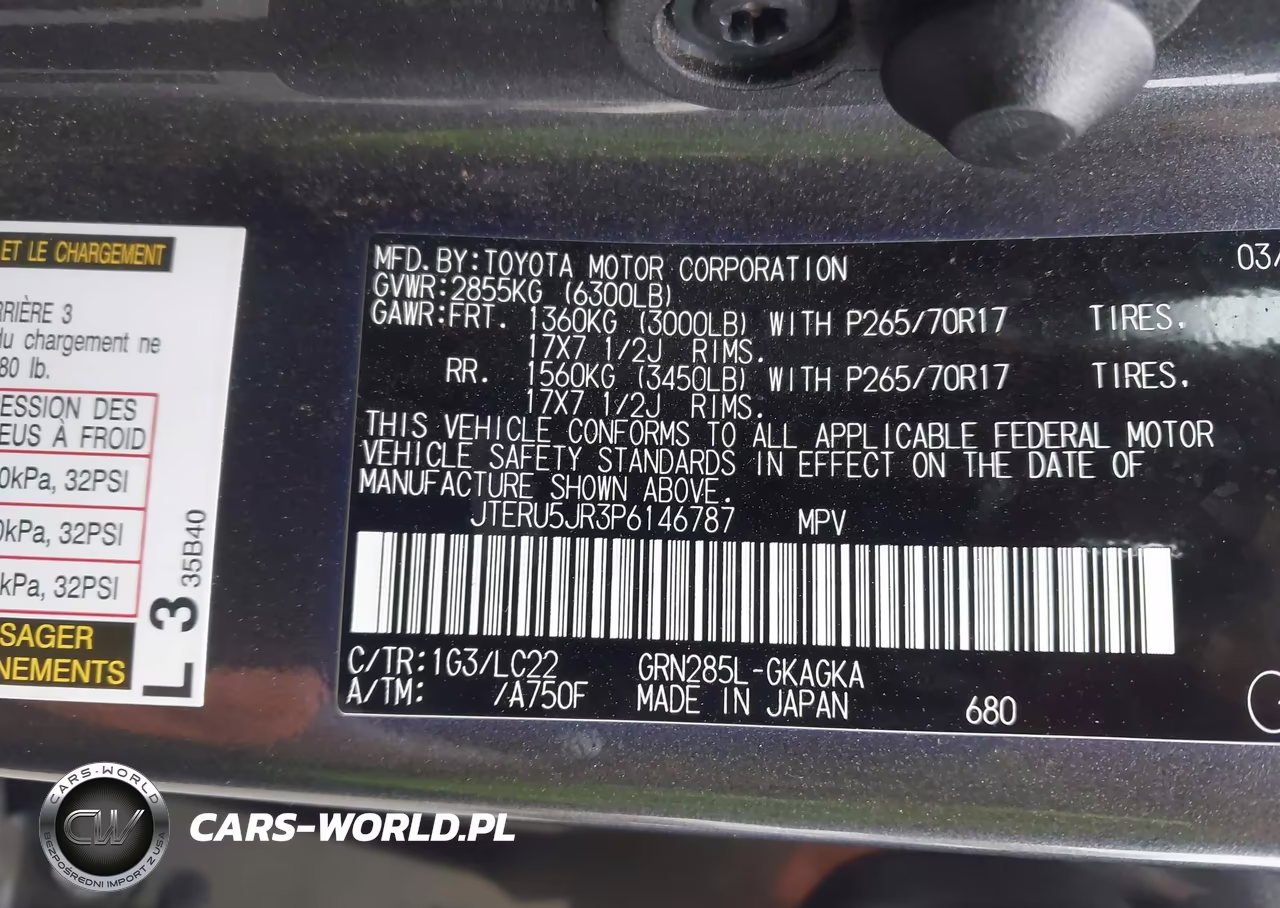 2023 Toyota 4Runner Trd Off Road Premium VIN:JTERU5JR3P6146787 - 9
