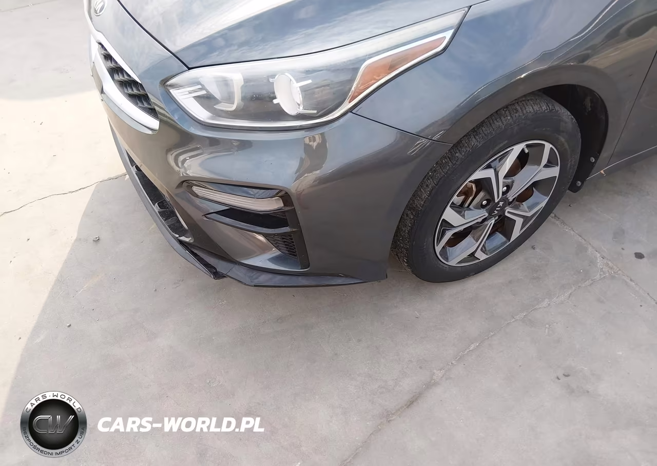 2019 Kia Forte Lxs VIN:3KPF24AD0KE009353 - 13