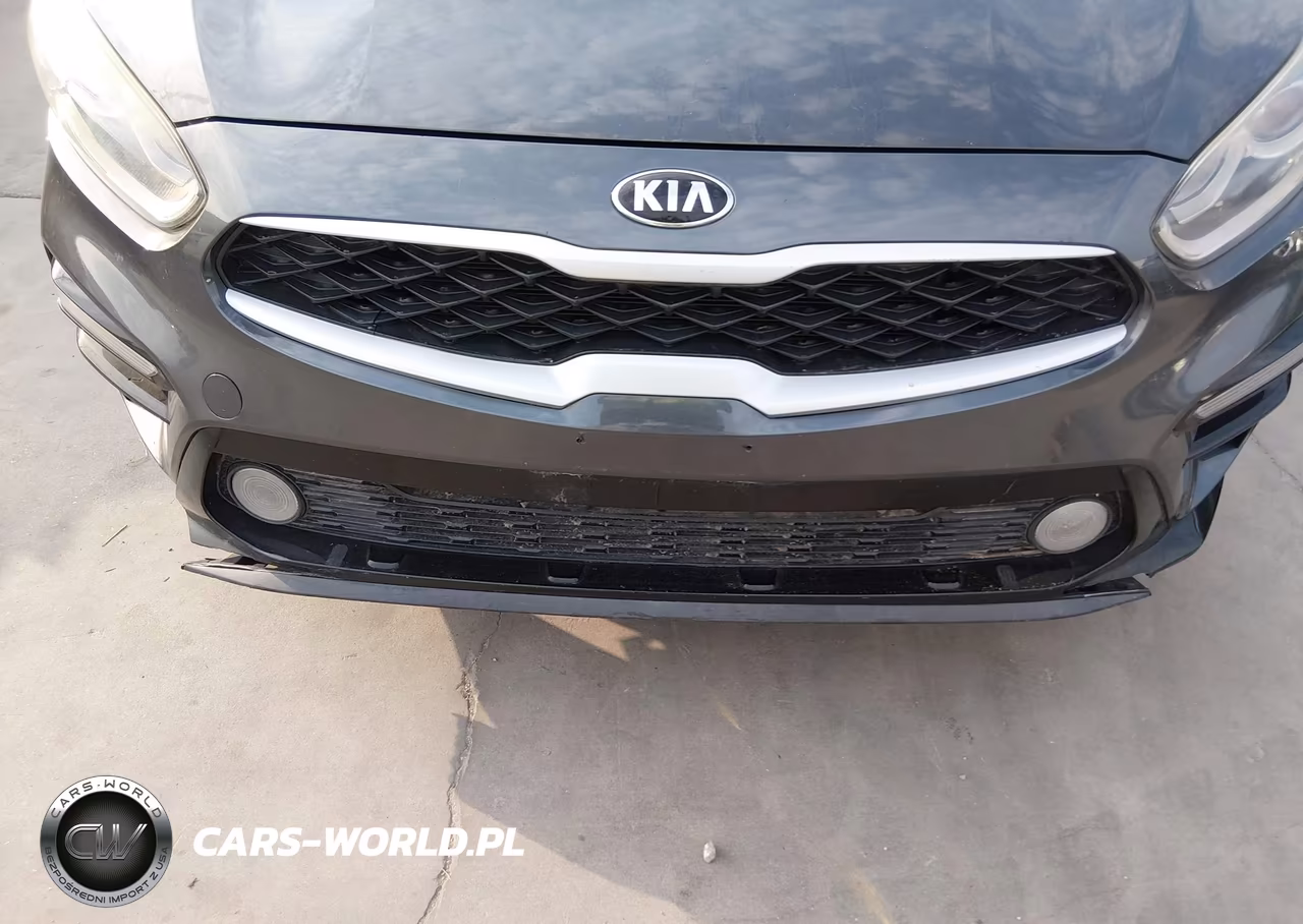 2019 Kia Forte Lxs VIN:3KPF24AD0KE009353 - 6