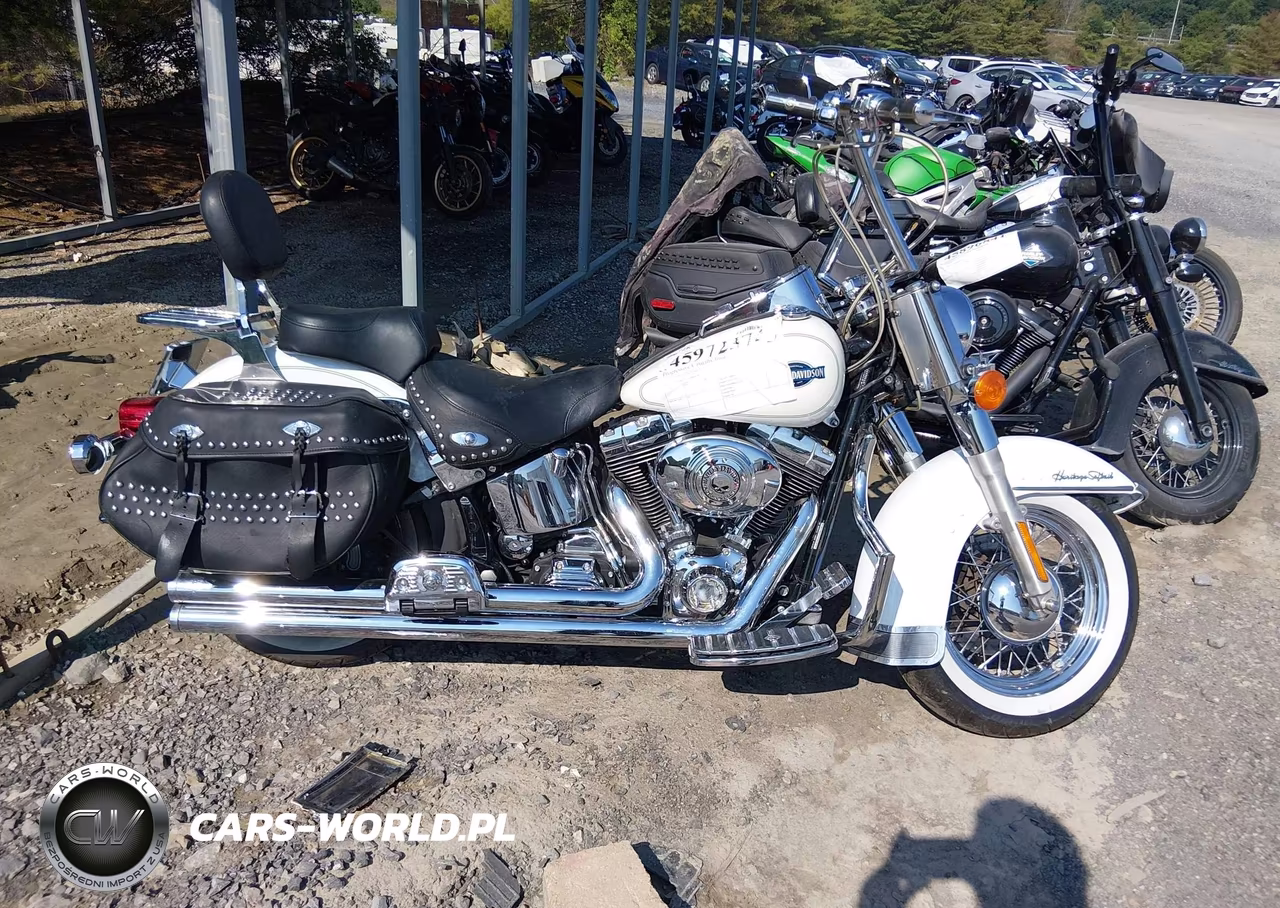 2005 Harley-Davidson Flstci VIN:1HD1BWB165Y061478 - 12