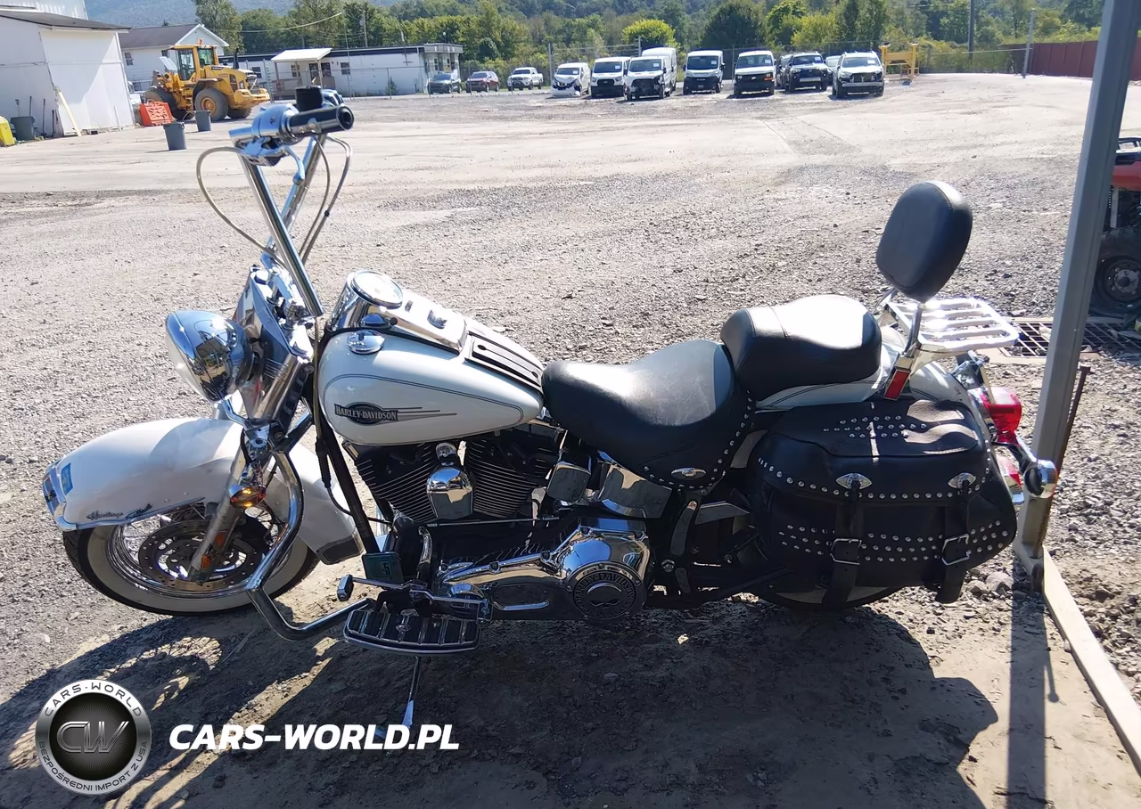 2005 Harley-Davidson Flstci VIN:1HD1BWB165Y061478 - 13