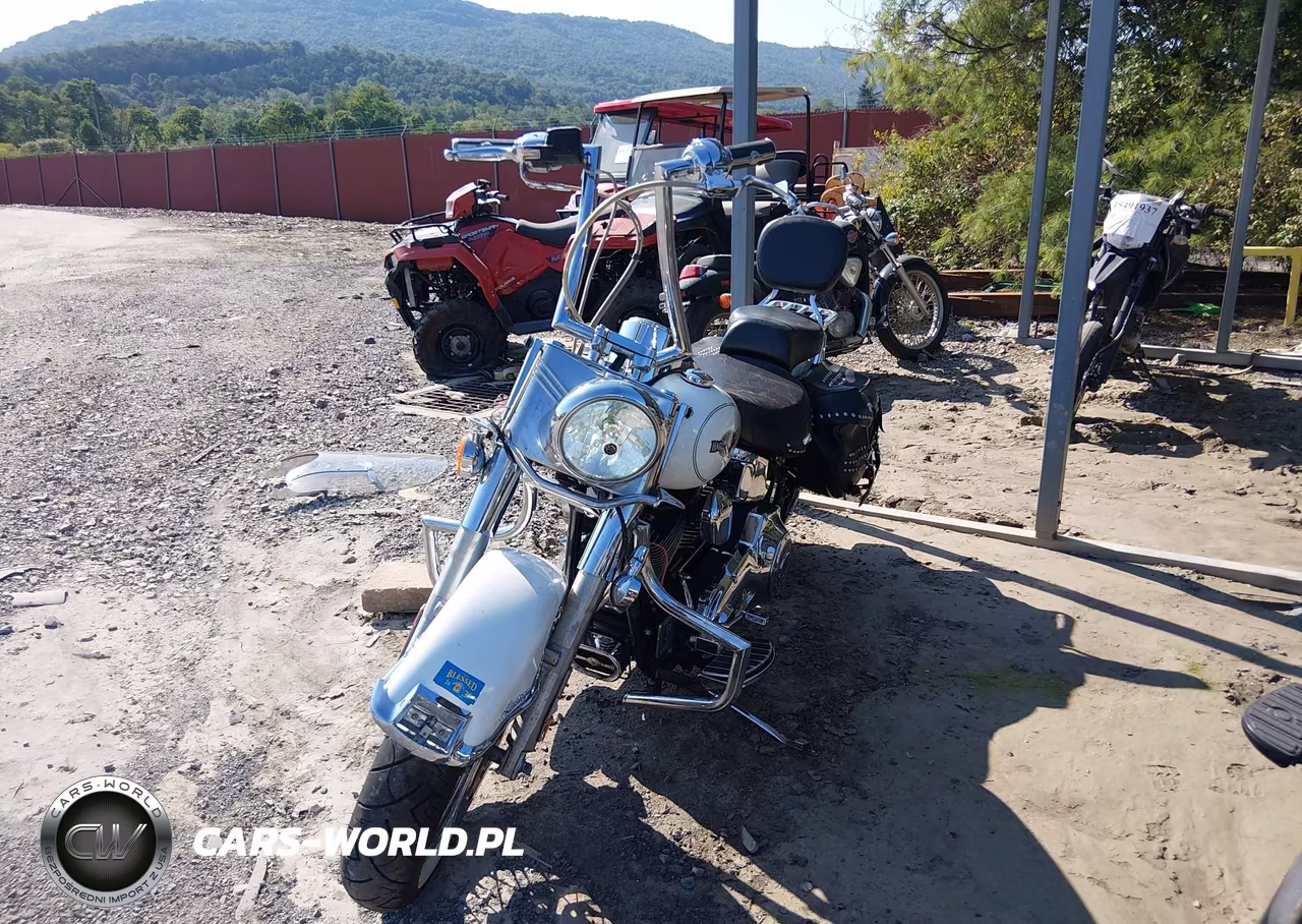 2005 Harley-Davidson Flstci VIN:1HD1BWB165Y061478 - 2