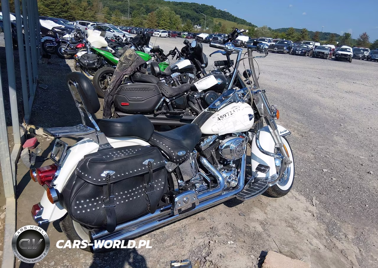 2005 Harley-Davidson Flstci VIN:1HD1BWB165Y061478 - 4