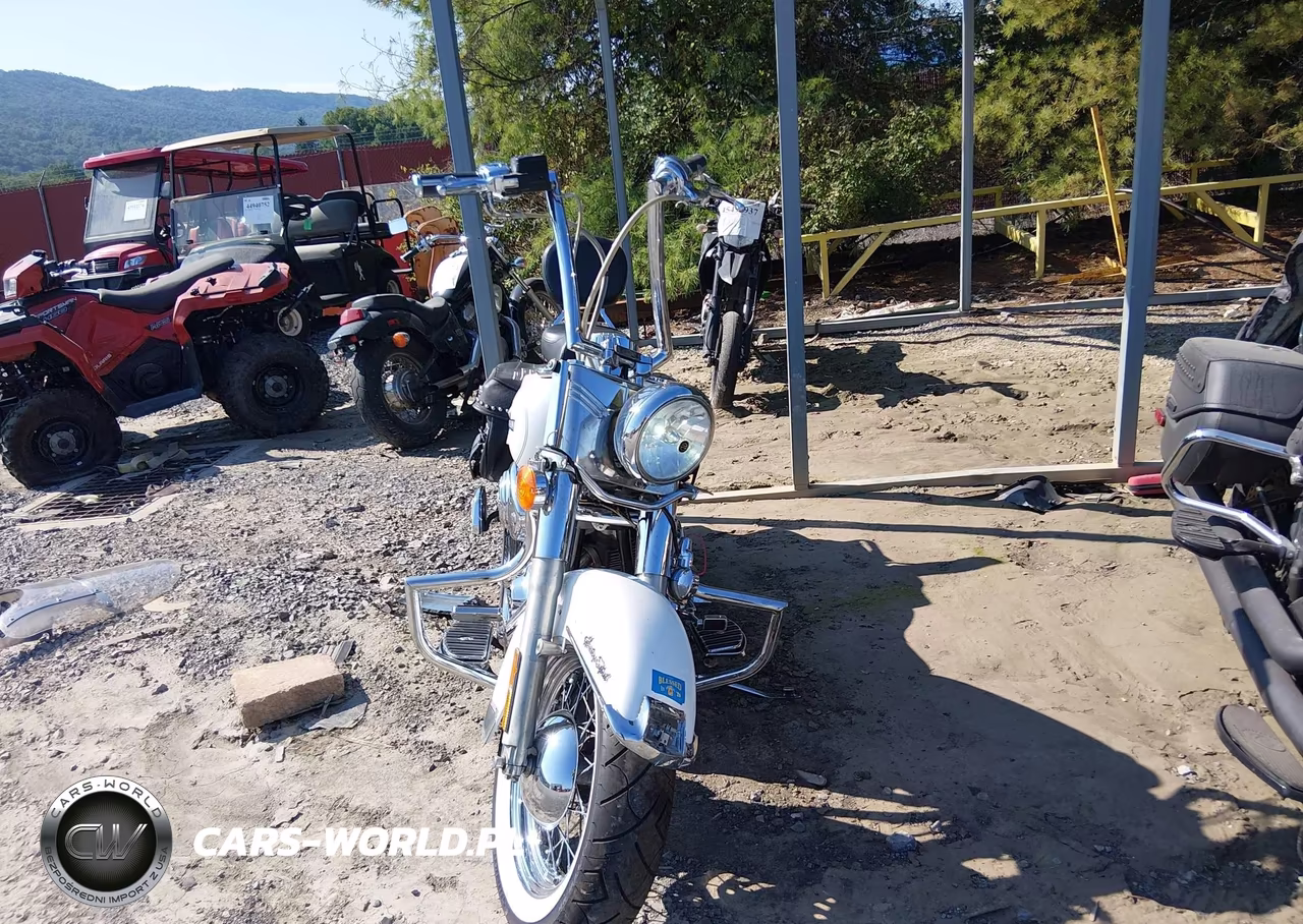 2005 Harley-Davidson Flstci VIN:1HD1BWB165Y061478 - 5