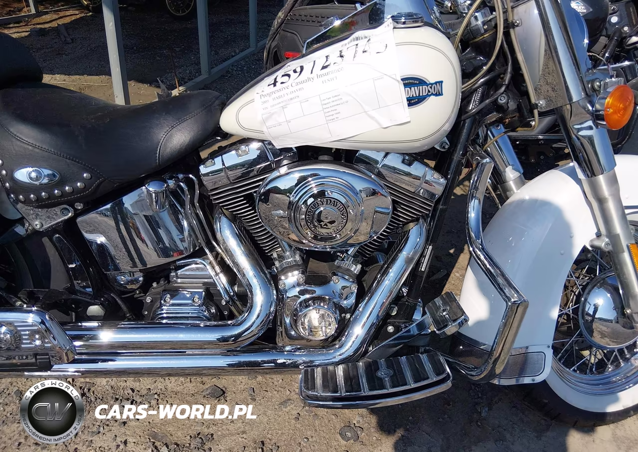 2005 Harley-Davidson Flstci VIN:1HD1BWB165Y061478 - 8