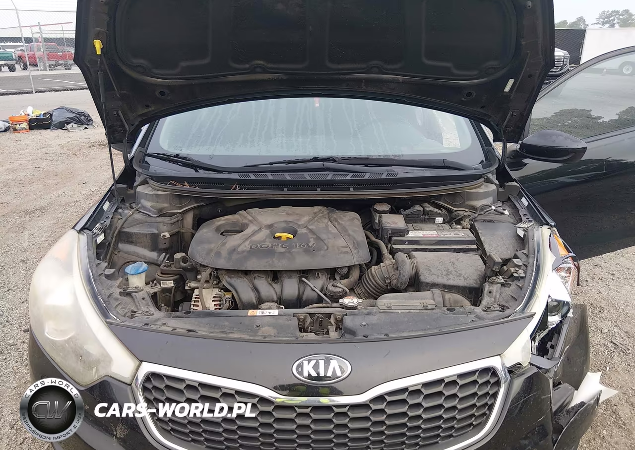 2015 Kia Forte Lx VIN:KNAFK4A61F5437092 - 10