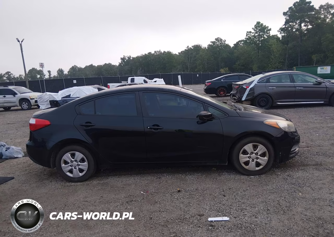 2015 Kia Forte Lx VIN:KNAFK4A61F5437092 - 13