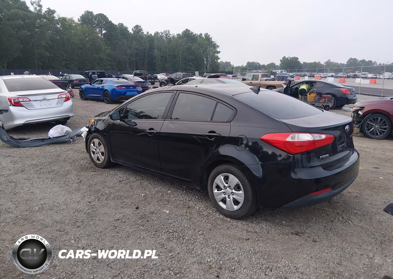 2015 Kia Forte Lx VIN:KNAFK4A61F5437092 - 3