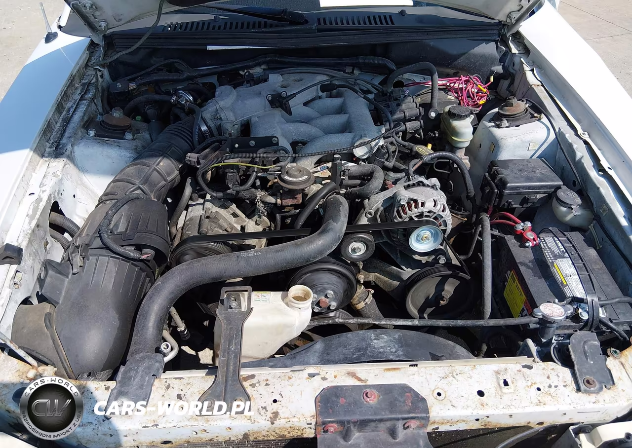 2003 Ford Mustang VIN:1FAFP40423F339589 - 10