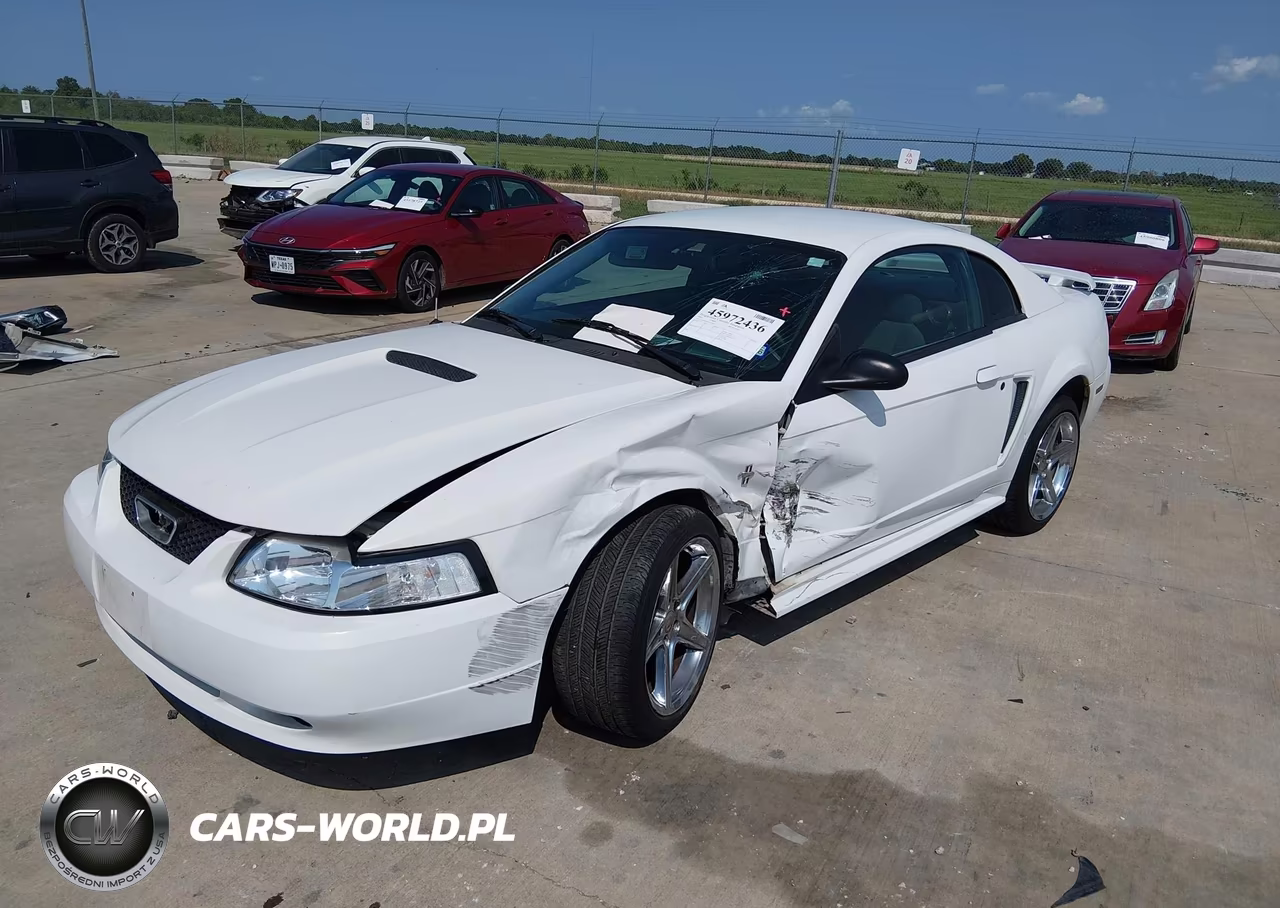 2003 Ford Mustang VIN:1FAFP40423F339589 - 2