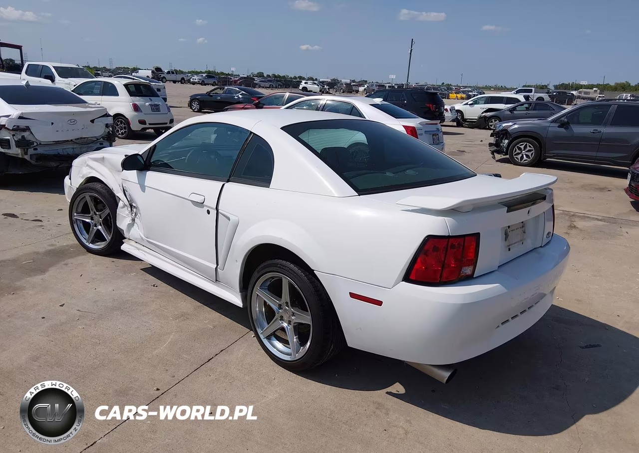 2003 Ford Mustang VIN:1FAFP40423F339589 - 3