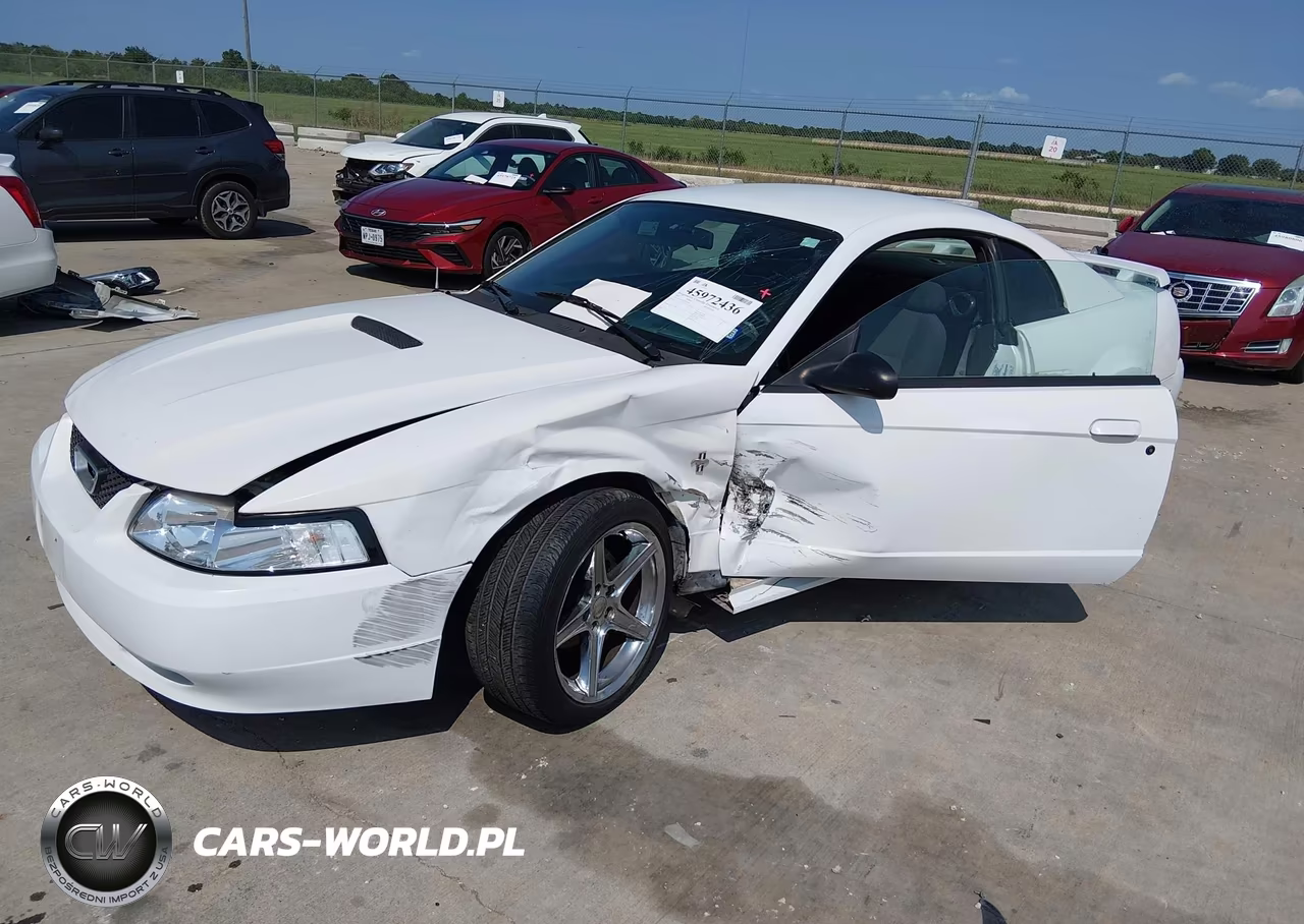 2003 Ford Mustang VIN:1FAFP40423F339589 - 6