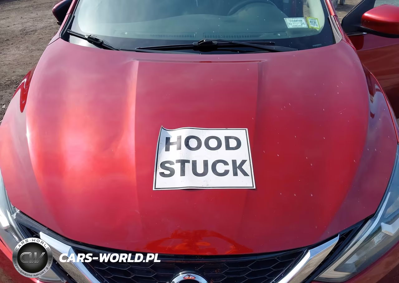 2019 Nissan Sentra Sv VIN:3N1AB7AP2KY221968 - 10