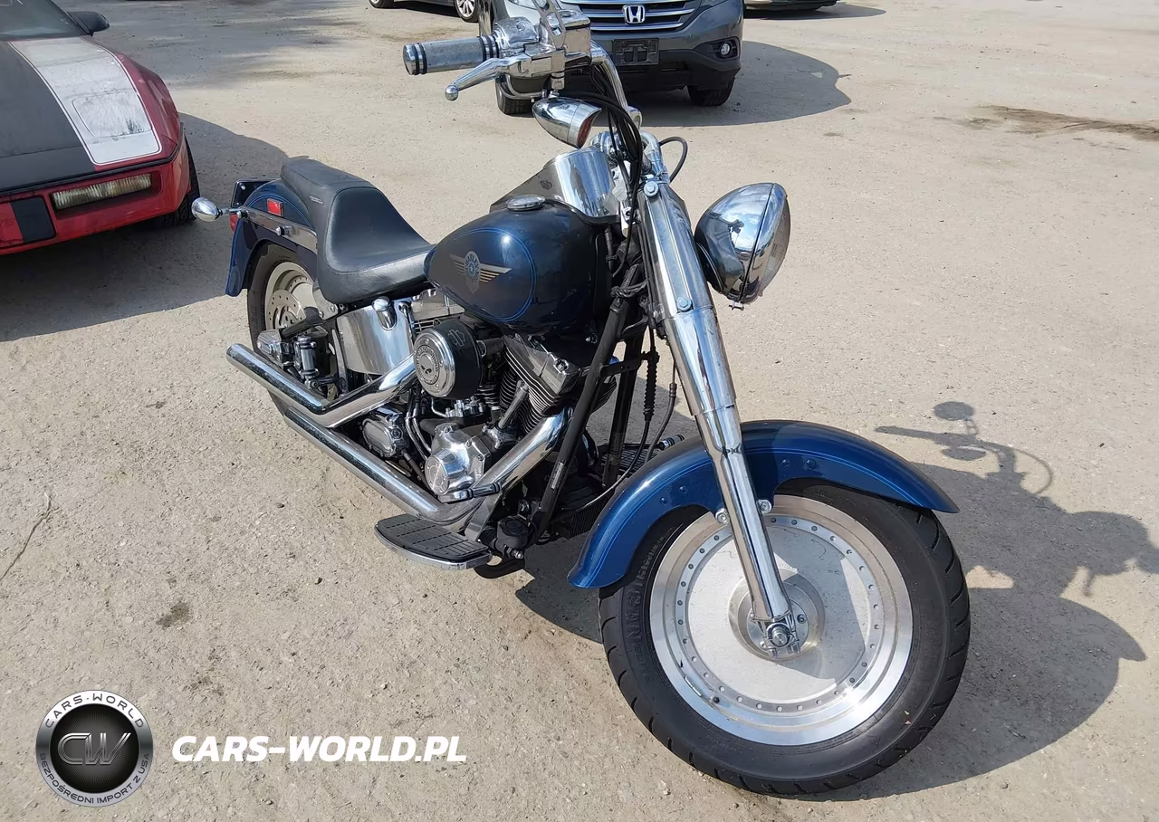 2000 Harley-Davidson Flstf
