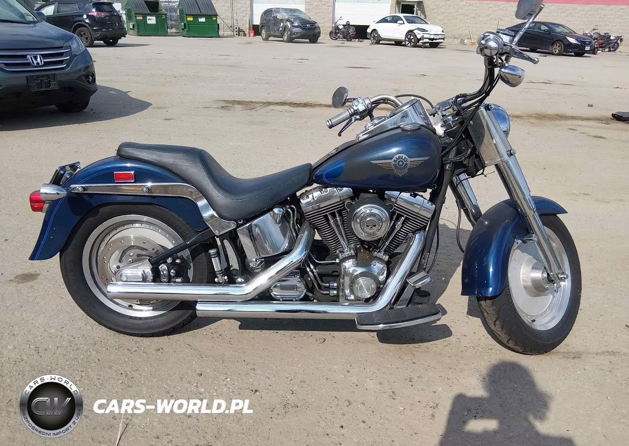 2000 Harley-Davidson Flstf VIN:1HD1BMY19YY060518 - 11