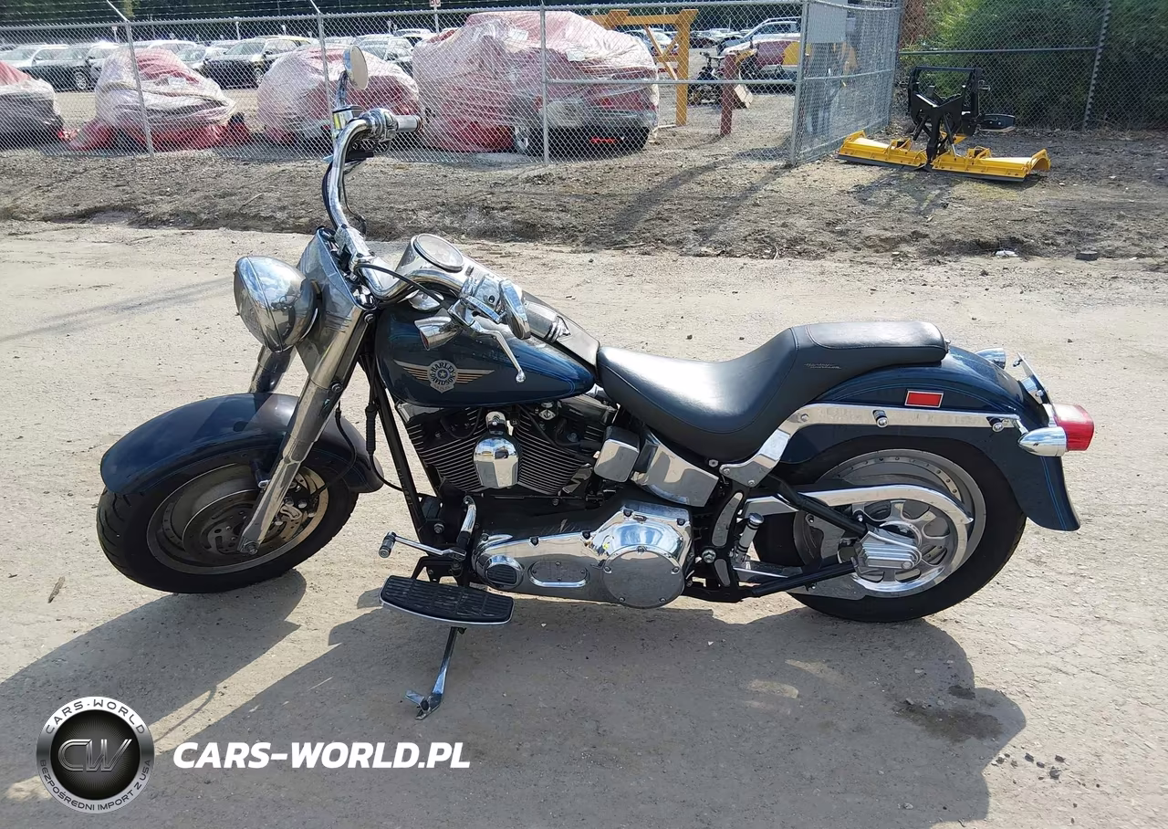 2000 Harley-Davidson Flstf VIN:1HD1BMY19YY060518 - 12