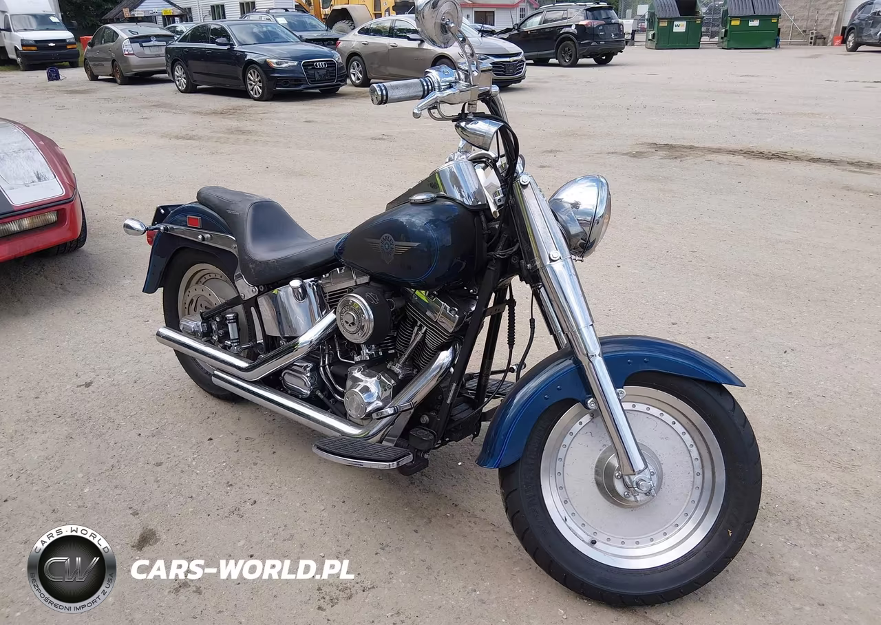 2000 Harley-Davidson Flstf VIN:1HD1BMY19YY060518 - 13
