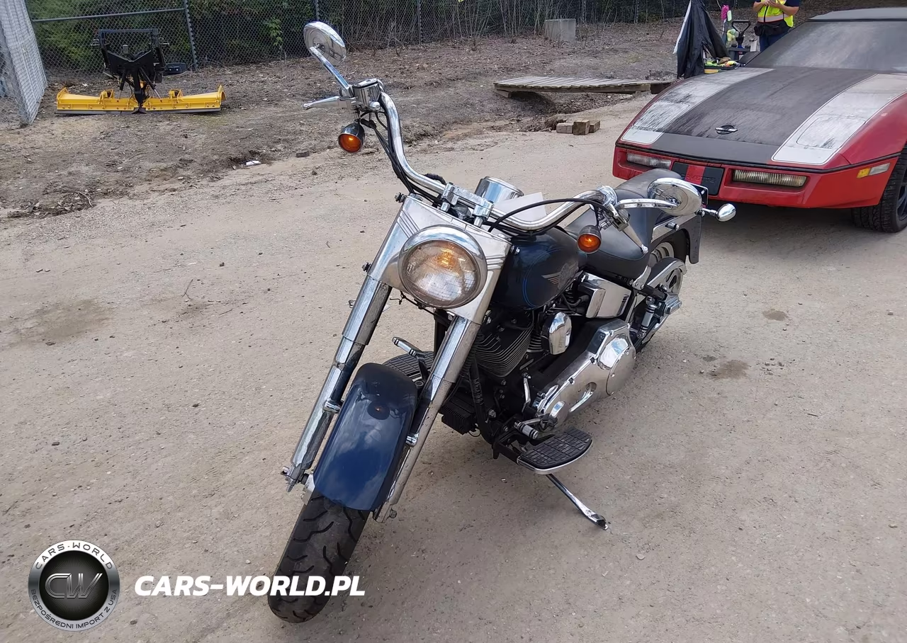 2000 Harley-Davidson Flstf VIN:1HD1BMY19YY060518 - 14