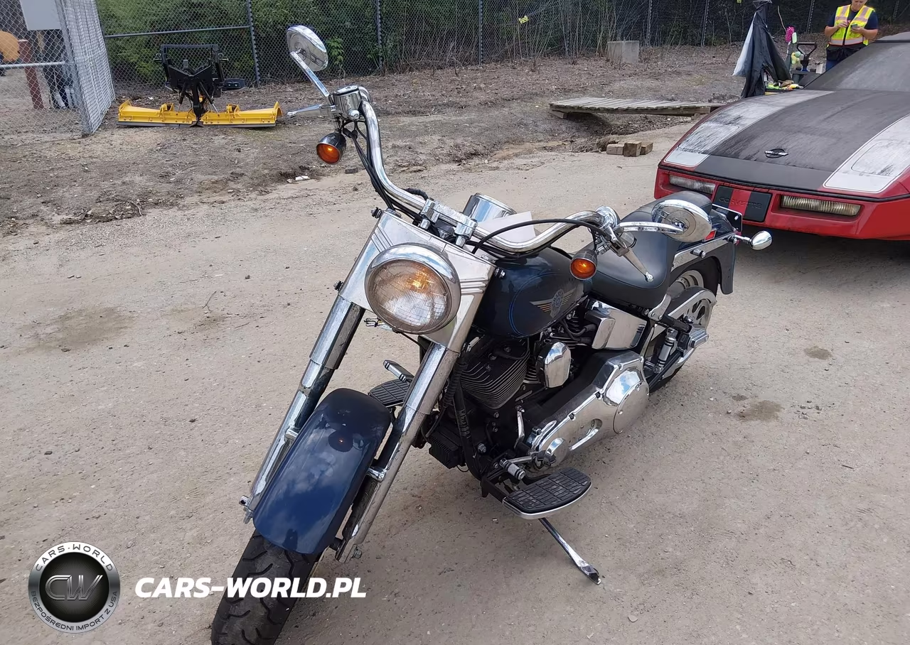 2000 Harley-Davidson Flstf VIN:1HD1BMY19YY060518 - 2