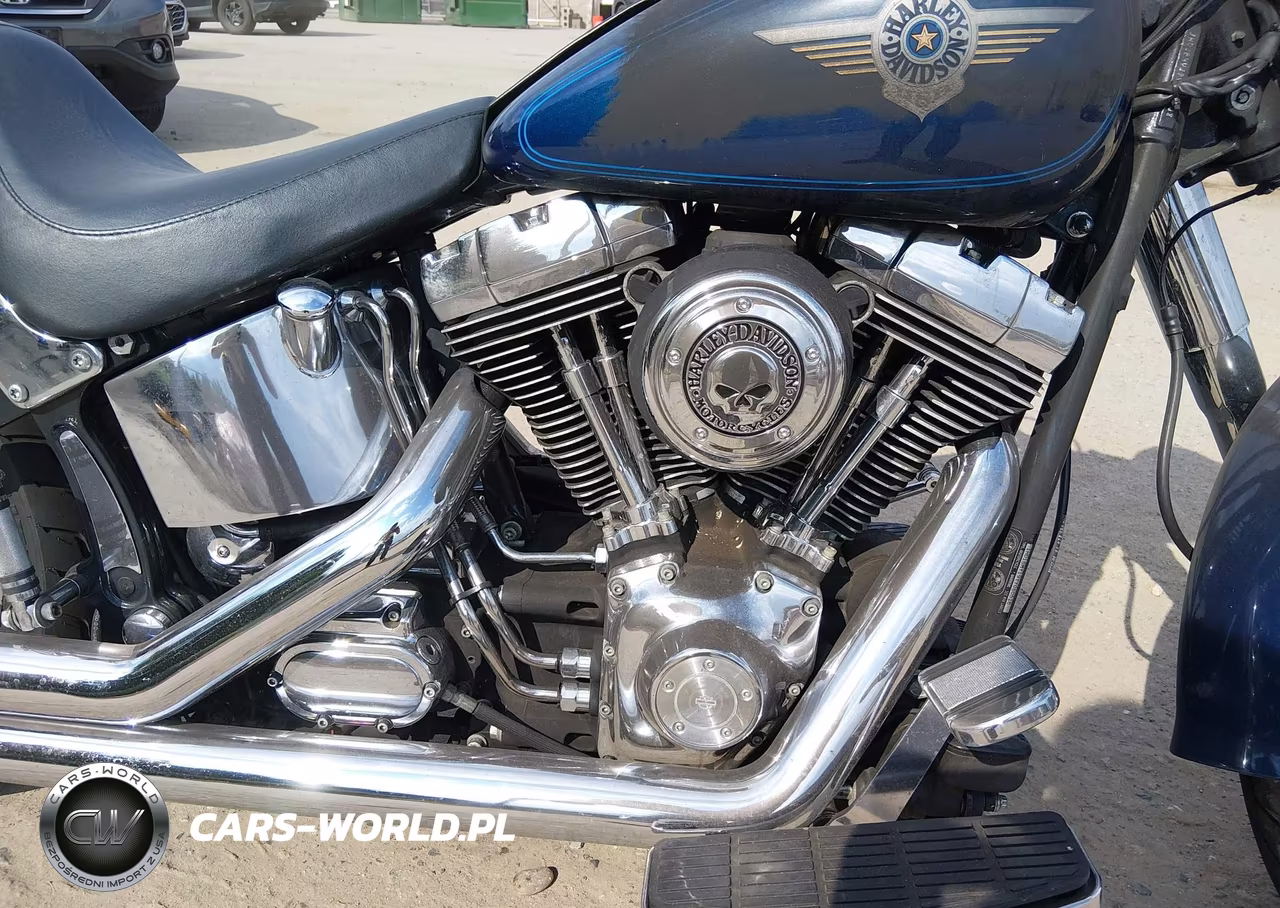 2000 Harley-Davidson Flstf VIN:1HD1BMY19YY060518 - 8