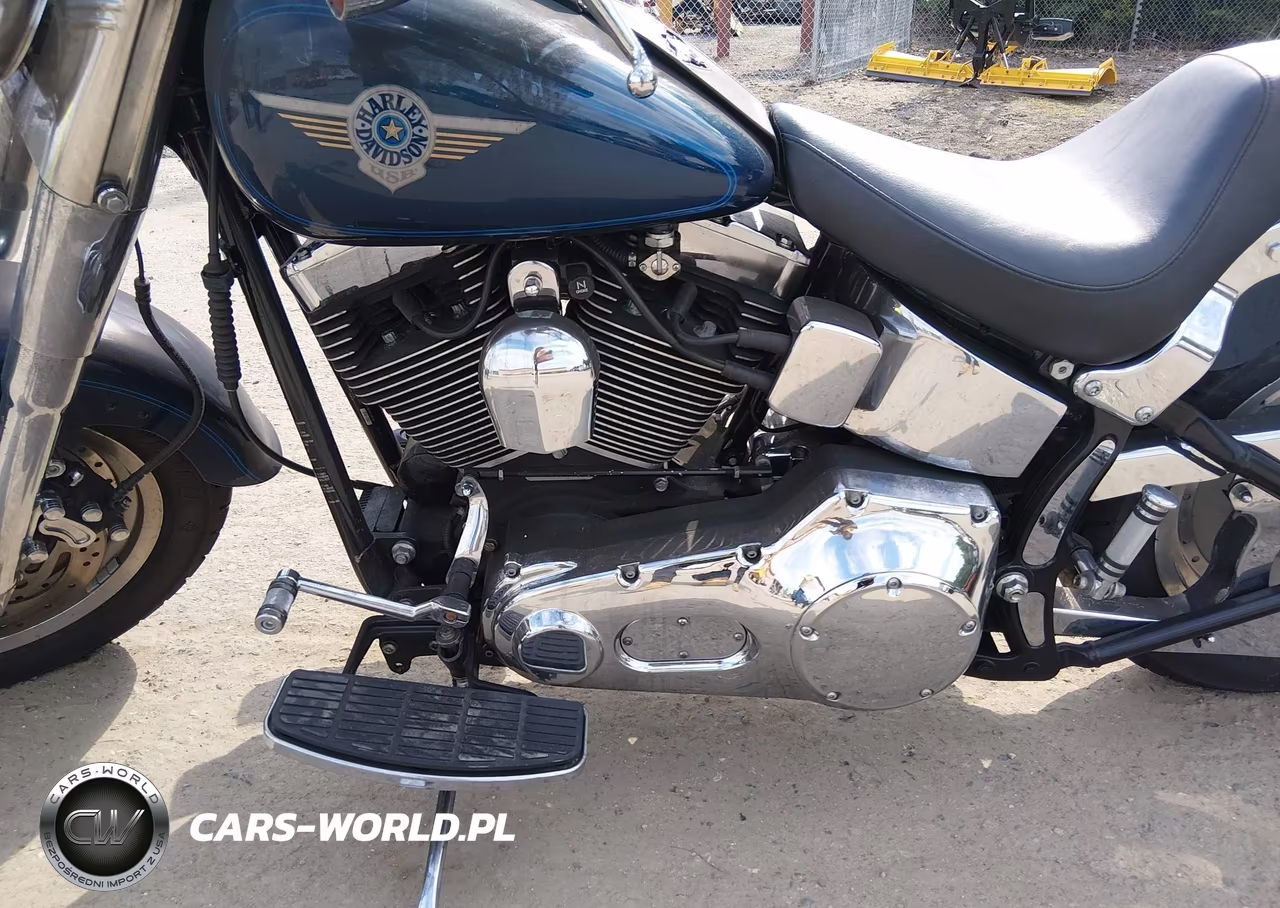 2000 Harley-Davidson Flstf VIN:1HD1BMY19YY060518 - 9