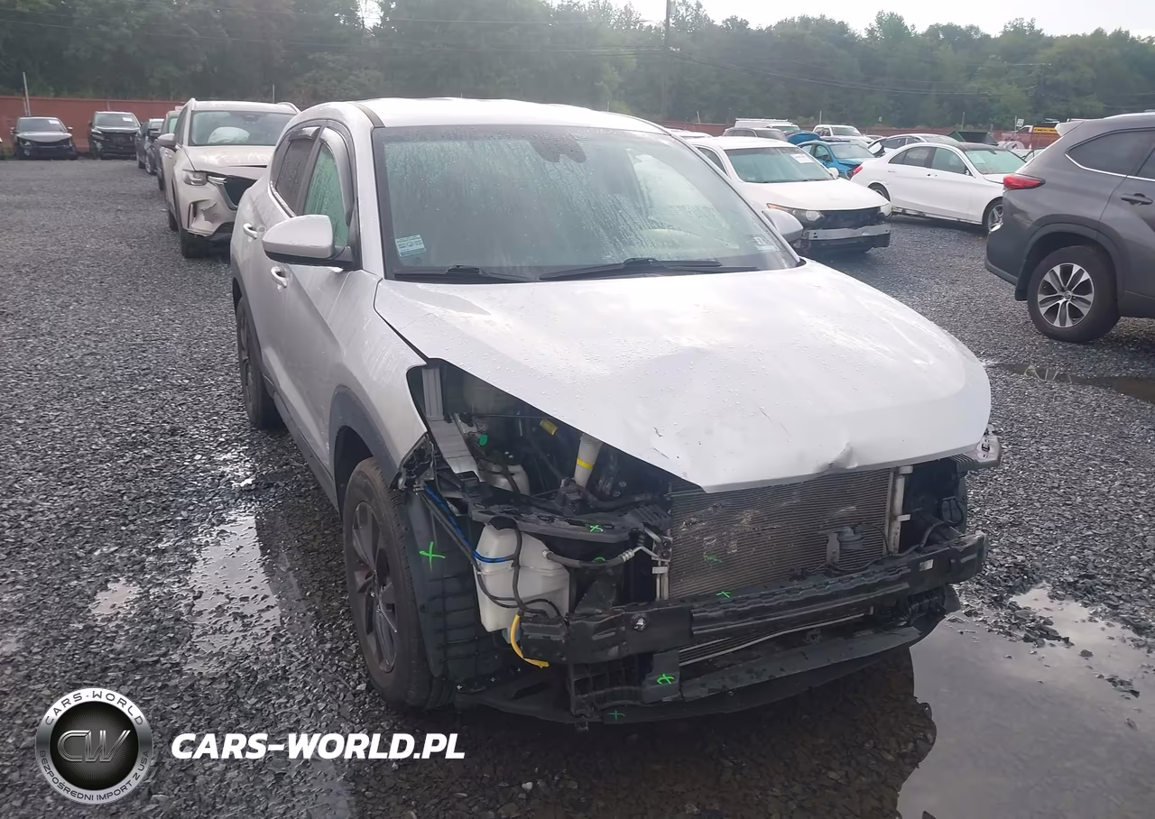 2019 Hyundai Tucson Se VIN:KM8J2CA43KU839343 - 18