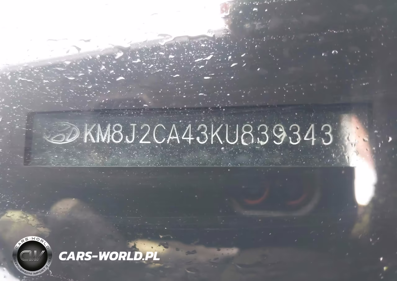 2019 Hyundai Tucson Se VIN:KM8J2CA43KU839343 - 9