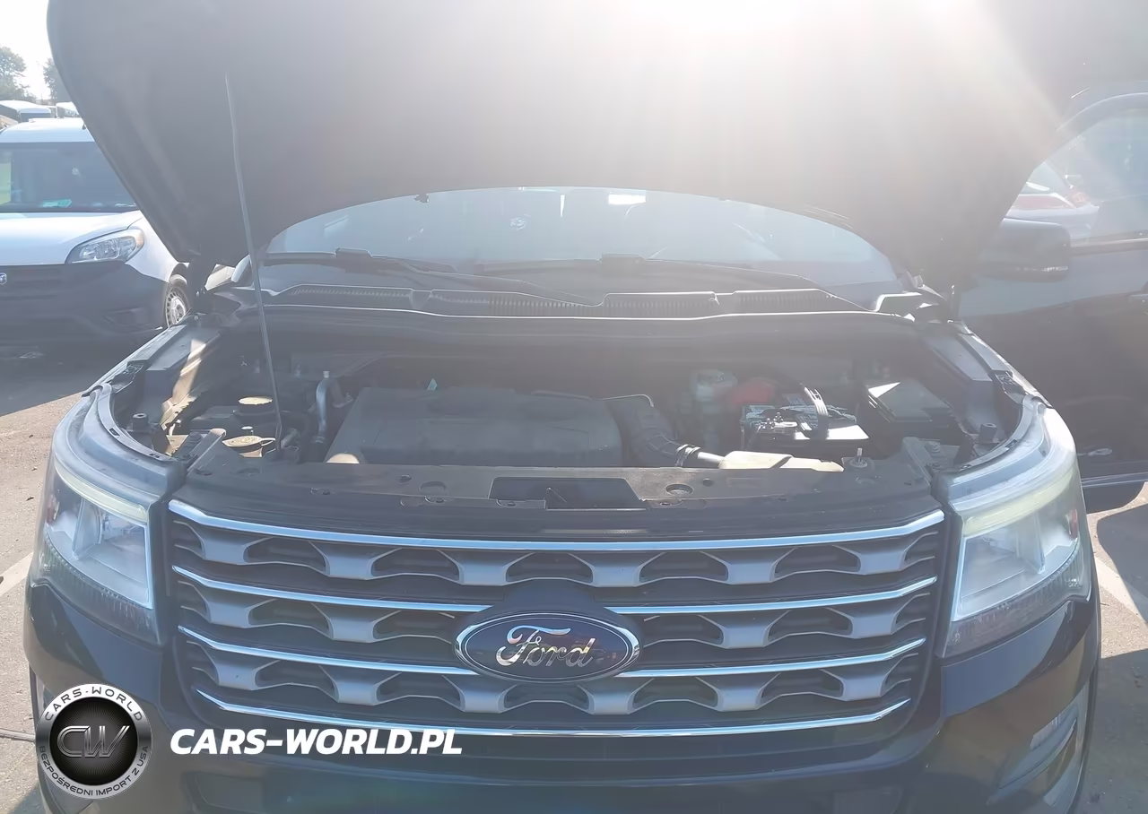 2017 Ford Explorer Xlt VIN:1FM5K8DHXHGC64419 - 10