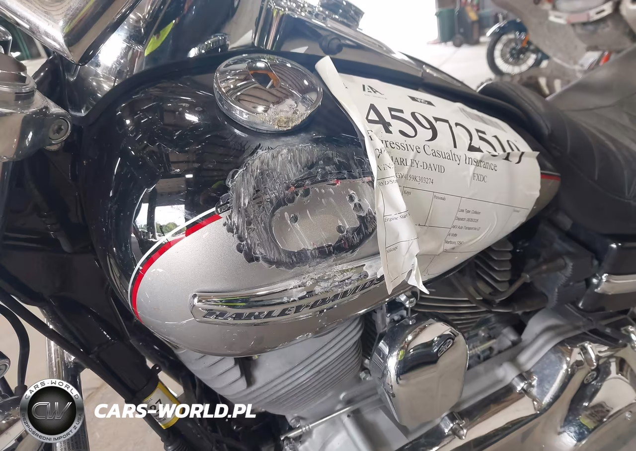 2009 Harley-Davidson Fxdc VIN:1HD1GV4159K303274 - 13