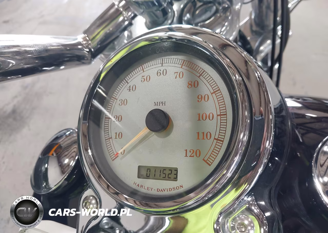 2009 Harley-Davidson Fxdc VIN:1HD1GV4159K303274 - 7