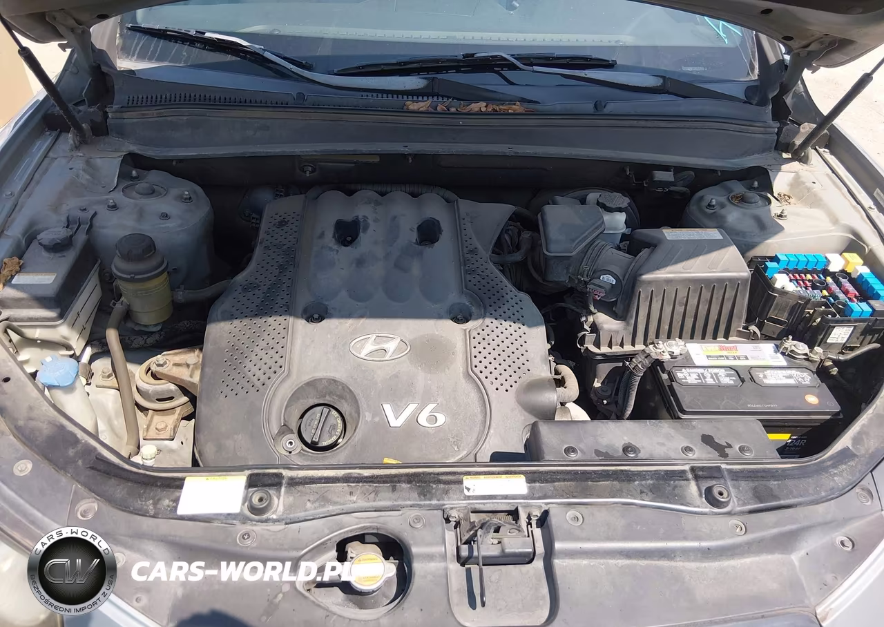2008 Hyundai Santa Fe Gls VIN:5NMSG13D18H166757 - 10