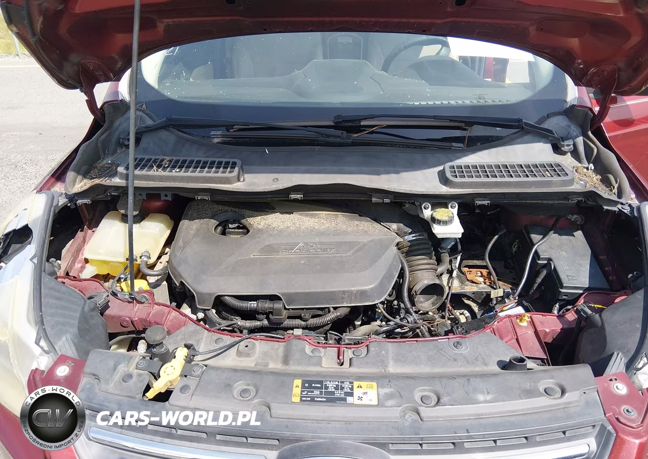 2014 Ford Escape Se VIN:1FMCU0GX1EUD91627 - 10