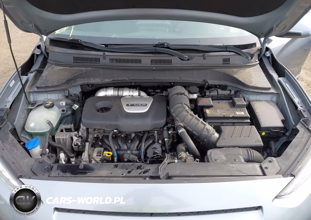 2020 Hyundai Kona Limited VIN:KM8K33A57LU490702 - 10