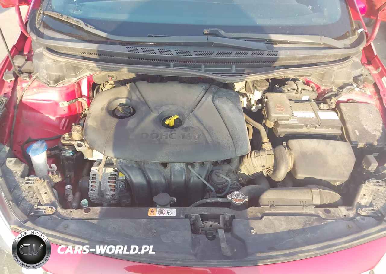 2015 Kia Forte Lx VIN:KNAFX4A6XF5303666 - 10